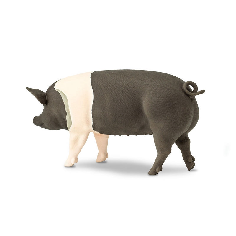 Safari Ltd Hampshire Pig