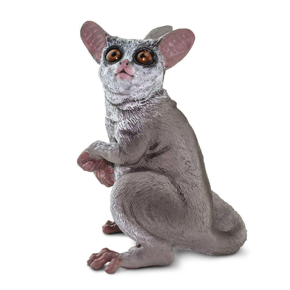 Safari Ltd Bush Baby