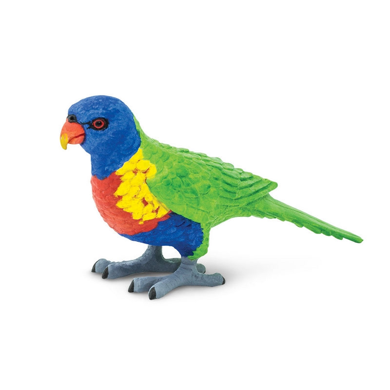 Safari Ltd Lorikeet