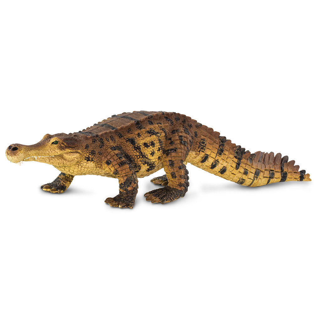 Safari Ltd Sarcosuchus