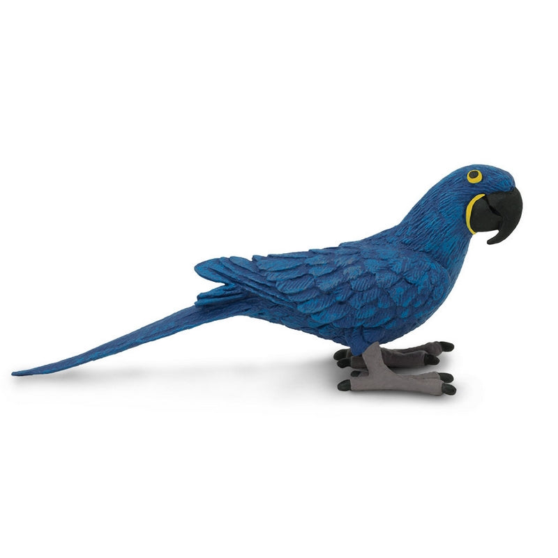 Safari Ltd Hyacinth Macaw