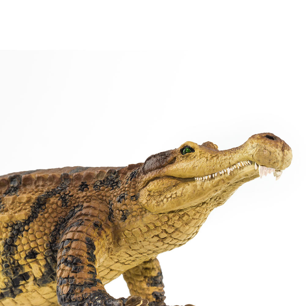 Safari Ltd Sarcosuchus