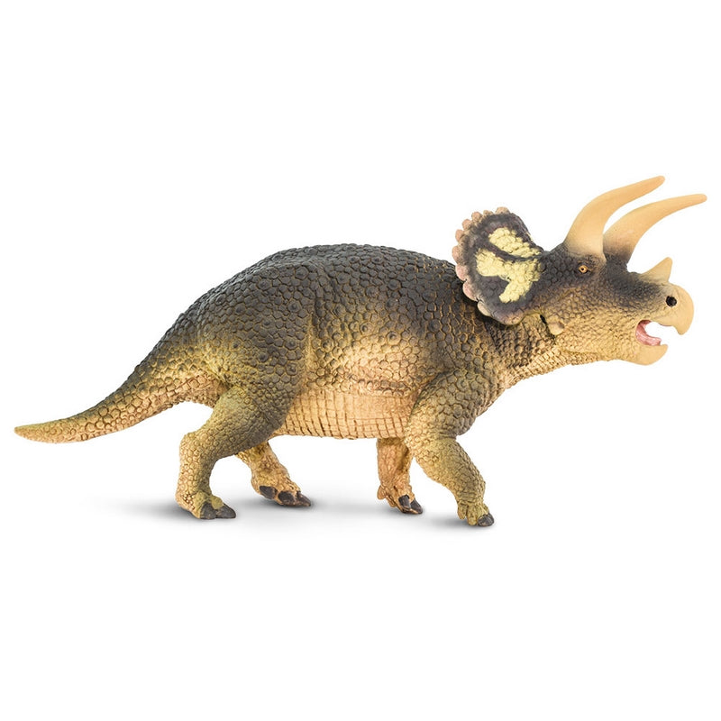 Safari Ltd Triceratops