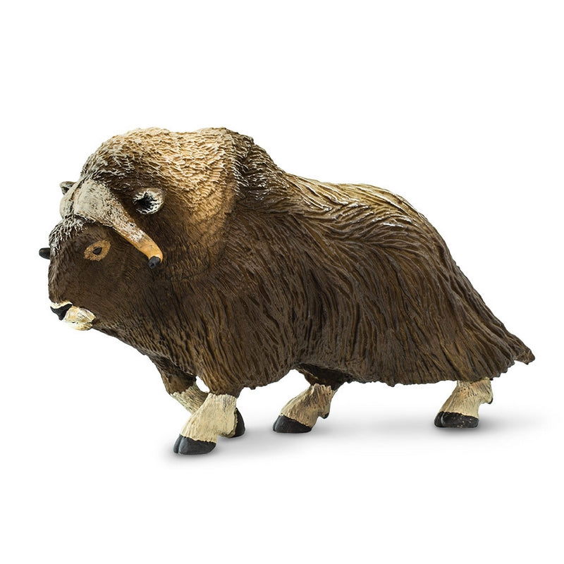 Safari Ltd Muskox