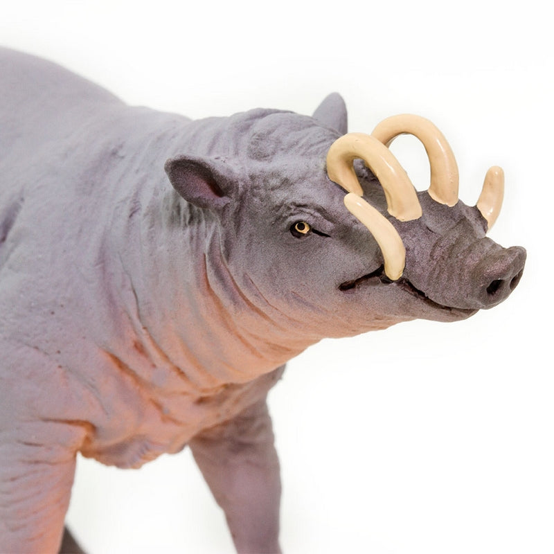 Safari Ltd Babirusa