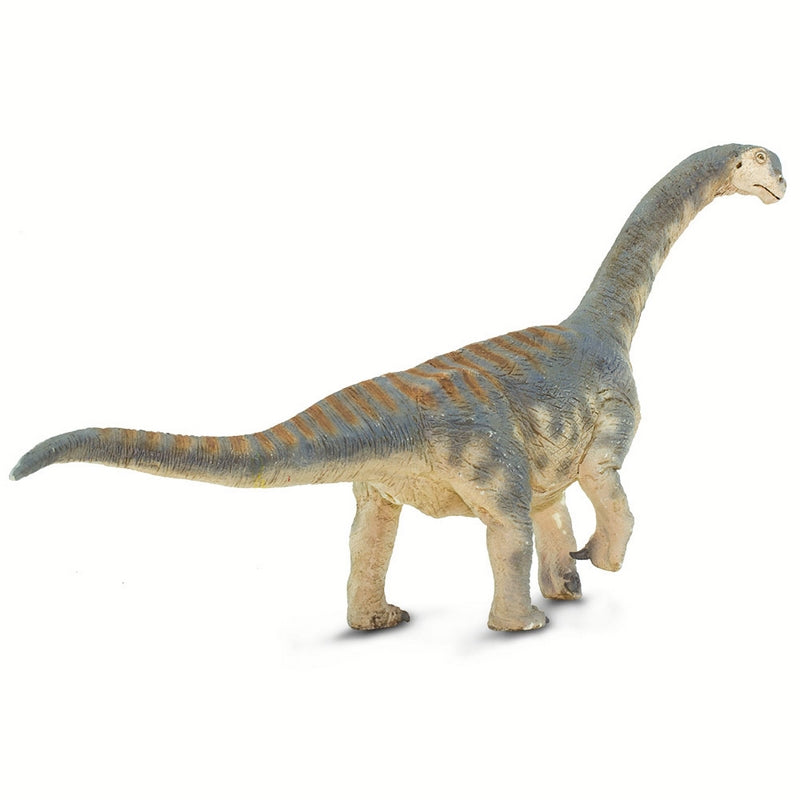 Safari Ltd Camarasaurus