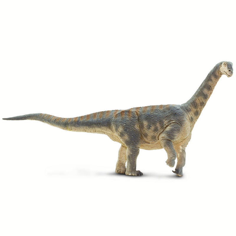 Safari Ltd Camarasaurus