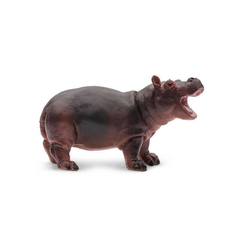 Safari Ltd Hippopotamus Baby