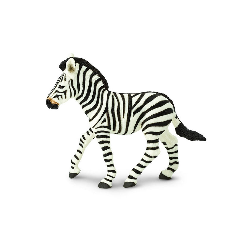 Safari Ltd Zebra Foal