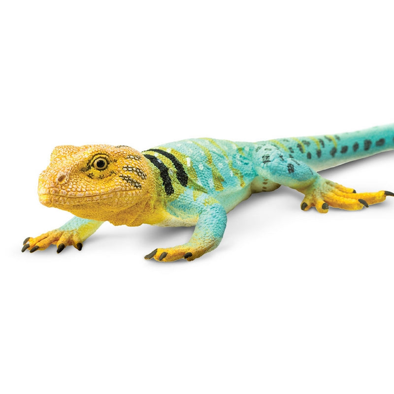 Safari Ltd Collared Lizard