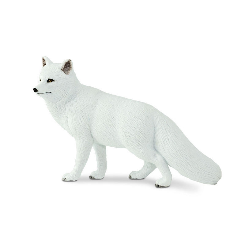 Safari Ltd Arctic Fox