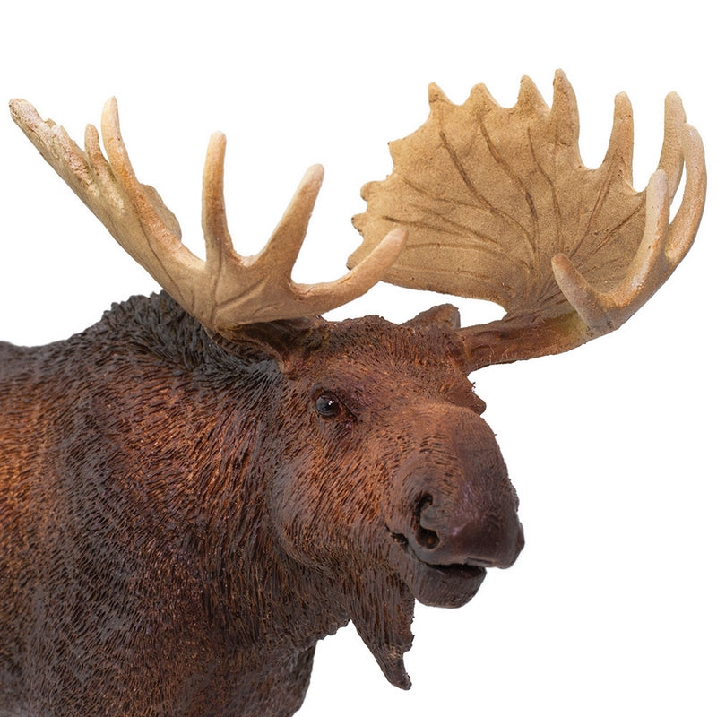 Safari Ltd Moose