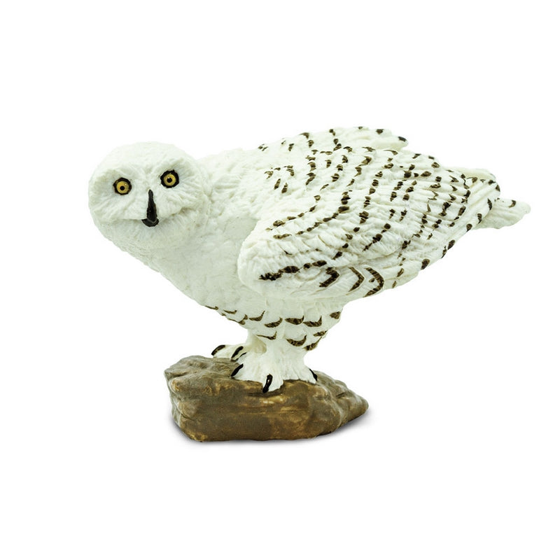 Safari Ltd Snowy Owl