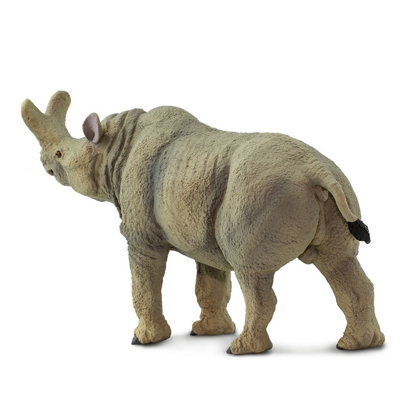 Safari Ltd Megacerops