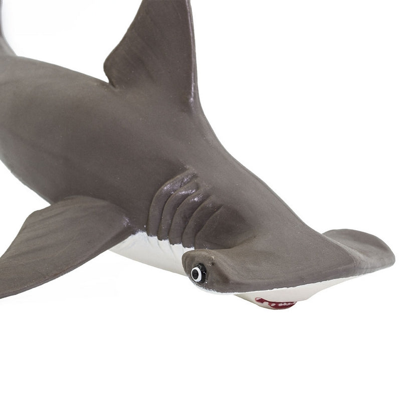 Safari Ltd Hammerhead Shark Baby