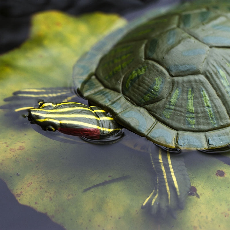 Safari Ltd Red-Eared Slider Turtle