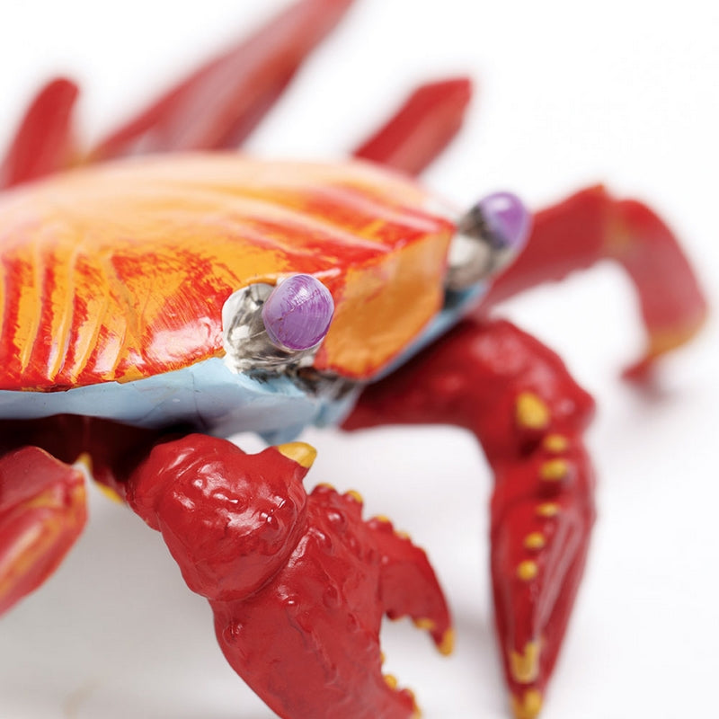 Safari Ltd Galapagos Sally Lightfoot Crab