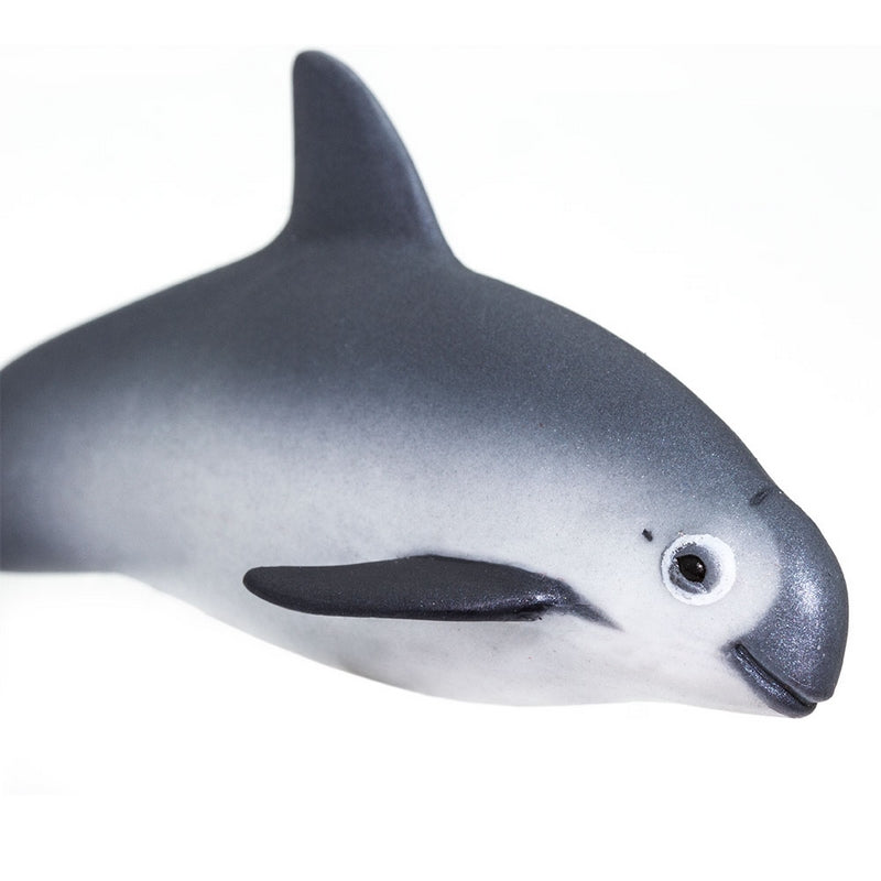 Safari Ltd Vaquita Porpoise