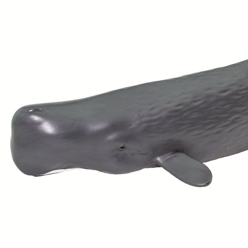 Safari Ltd Sperm Whale