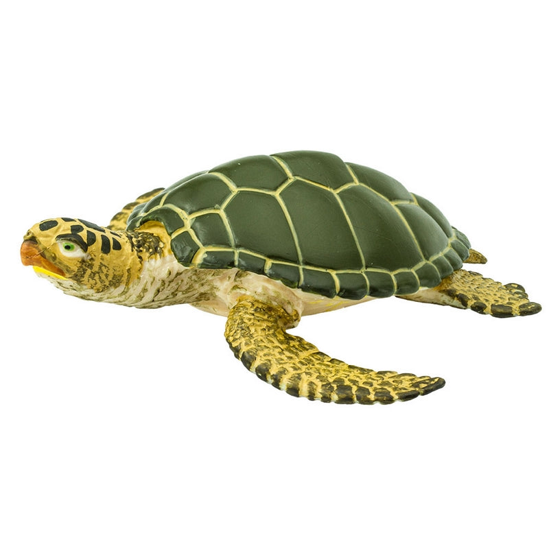 Safari Ltd Green Sea TurtleSea Life