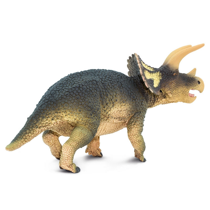 Safari Ltd Triceratops