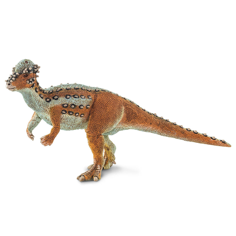 Safari Ltd Pachycephalosaurus