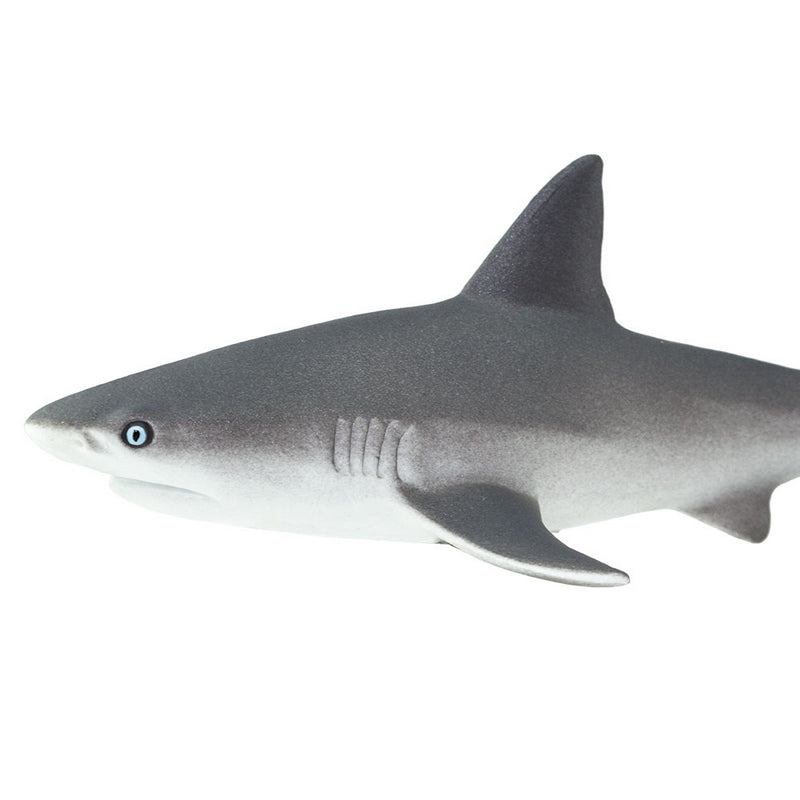 Safari Ltd Gray Reef Shark