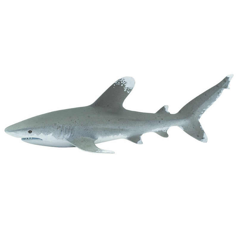 Safari Ltd Ocean Whitetip Shark