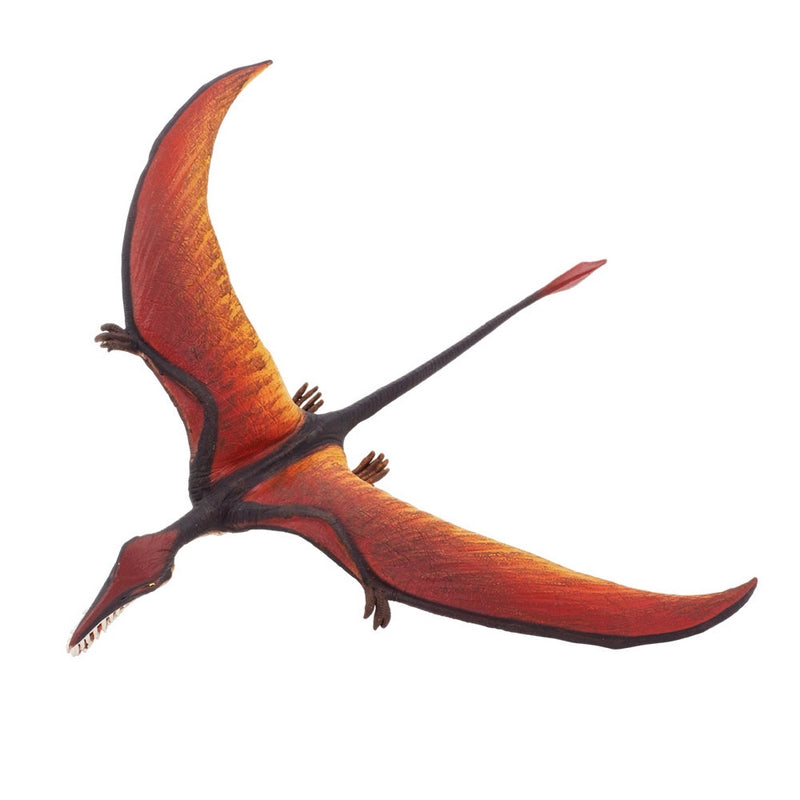 Safari Ltd Rhamphorhynchus