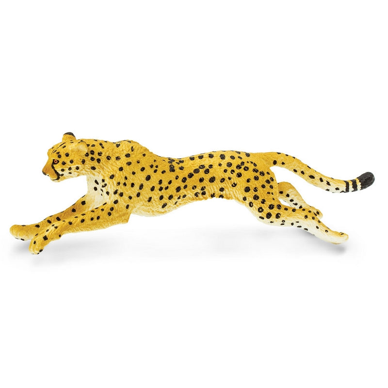 Safari Ltd Cheetah