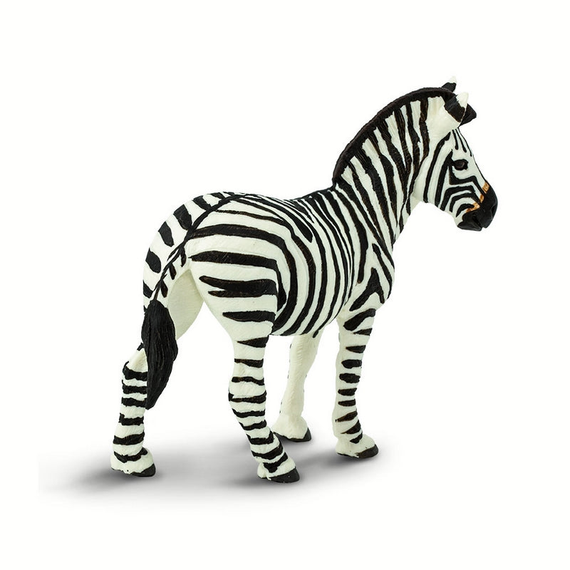 Safari Ltd Zebra