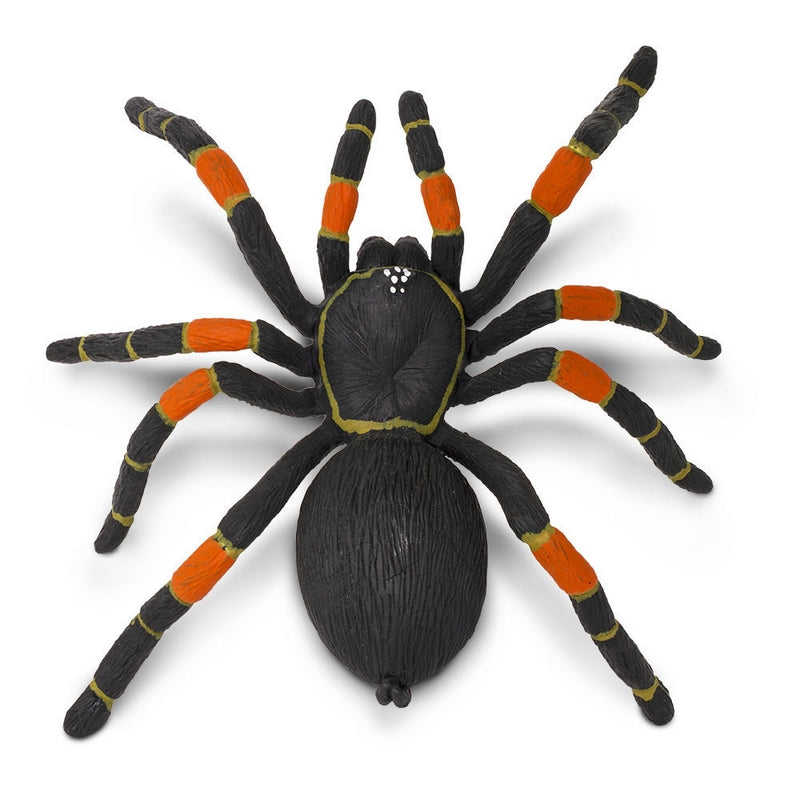 Safari Ltd Orange-Kneed Tarantula