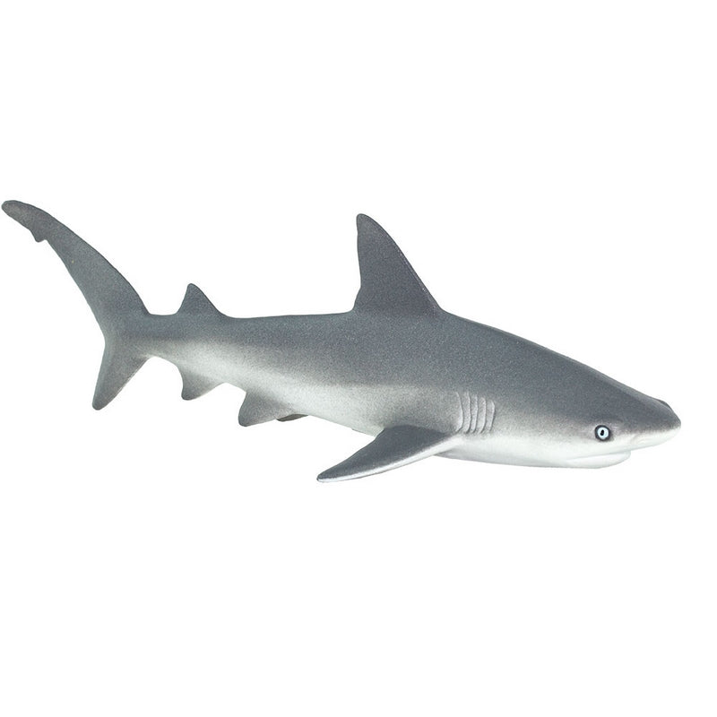 Safari Ltd Gray Reef Shark