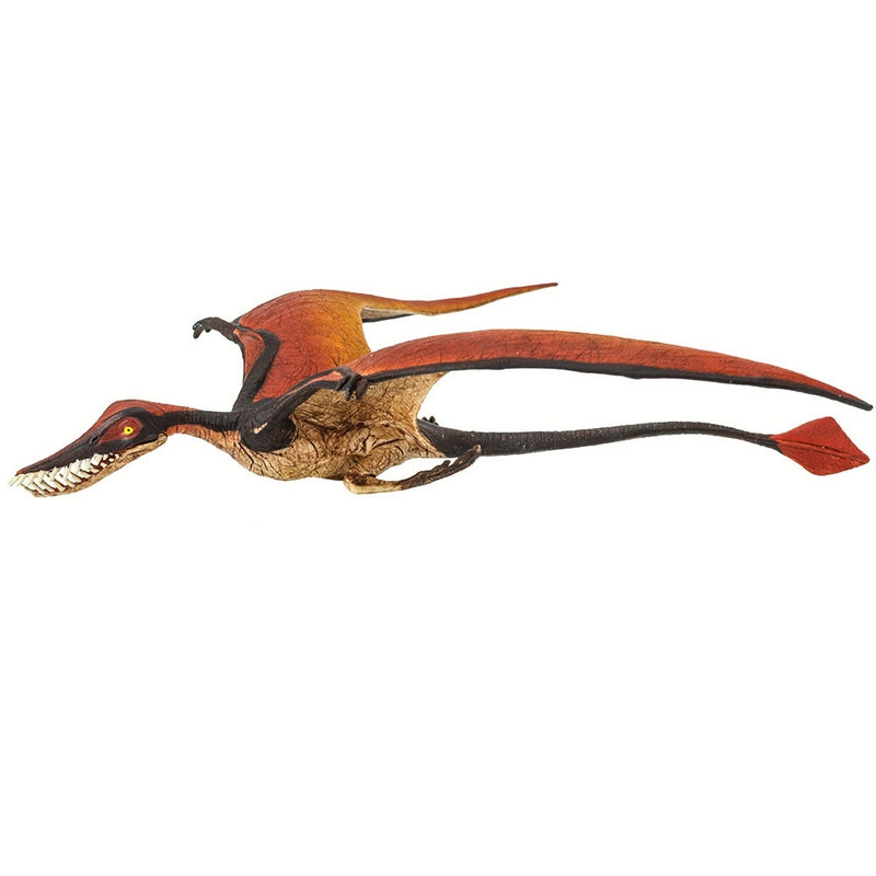 Safari Ltd Rhamphorhynchus