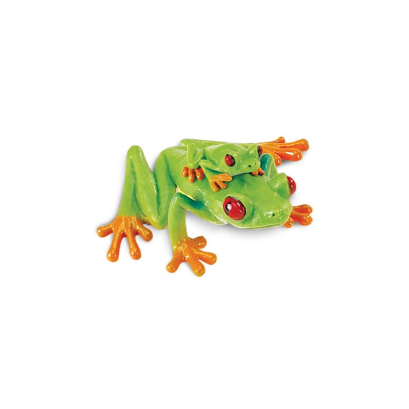 Safari Ltd Red-Eyed Tree Frog