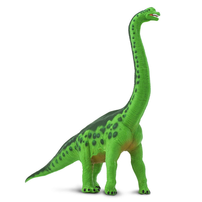 Safari Ltd Brachiosaurus