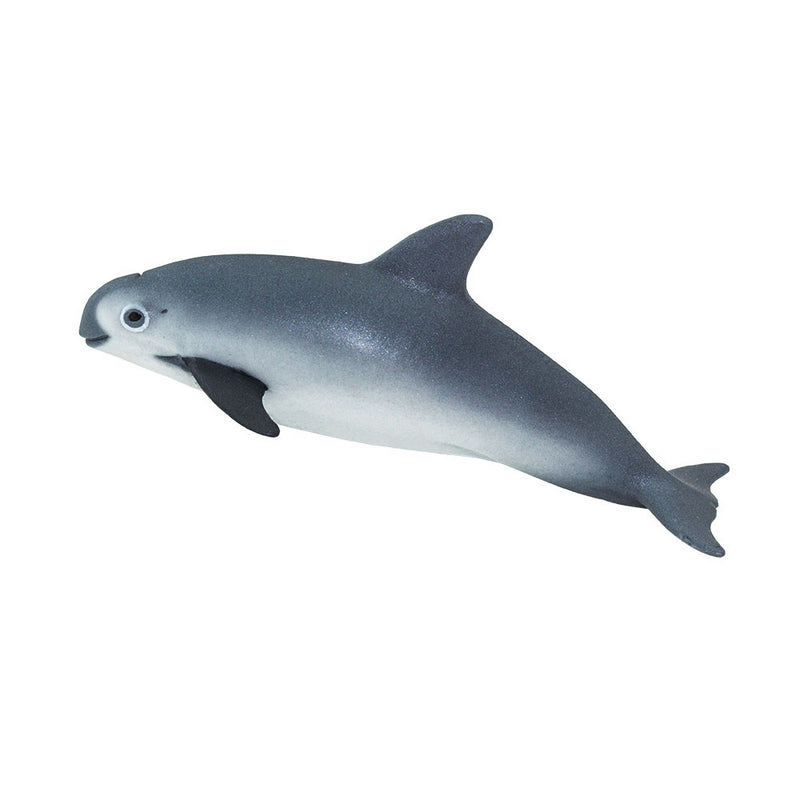 Safari Ltd Vaquita Porpoise