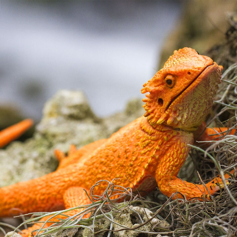 Safari Ltd Bearded Dragon