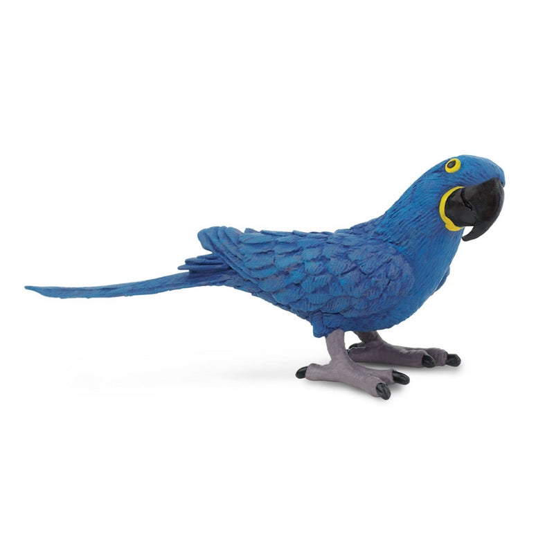 Safari Ltd Hyacinth Macaw