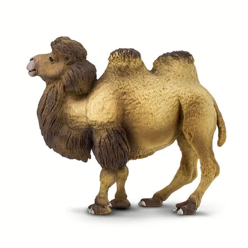 Safari Ltd Bactrian Camel