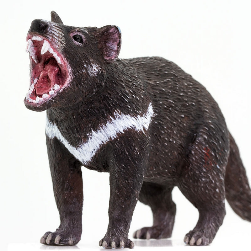 Safari Ltd Tasmanian Devil