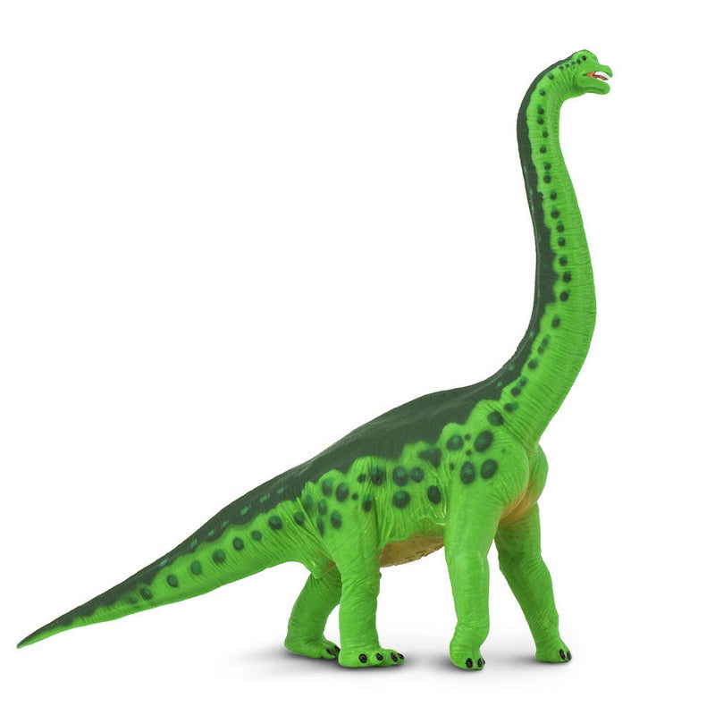 Safari Ltd Brachiosaurus