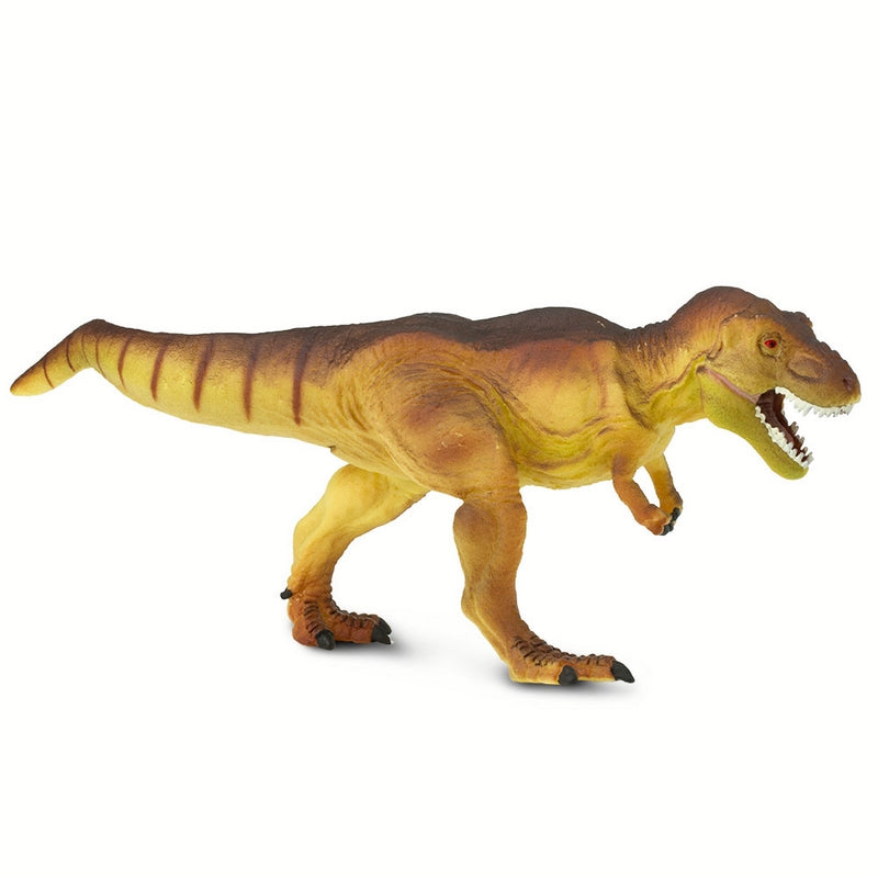 Safari Ltd Tyrannosaurus Rex