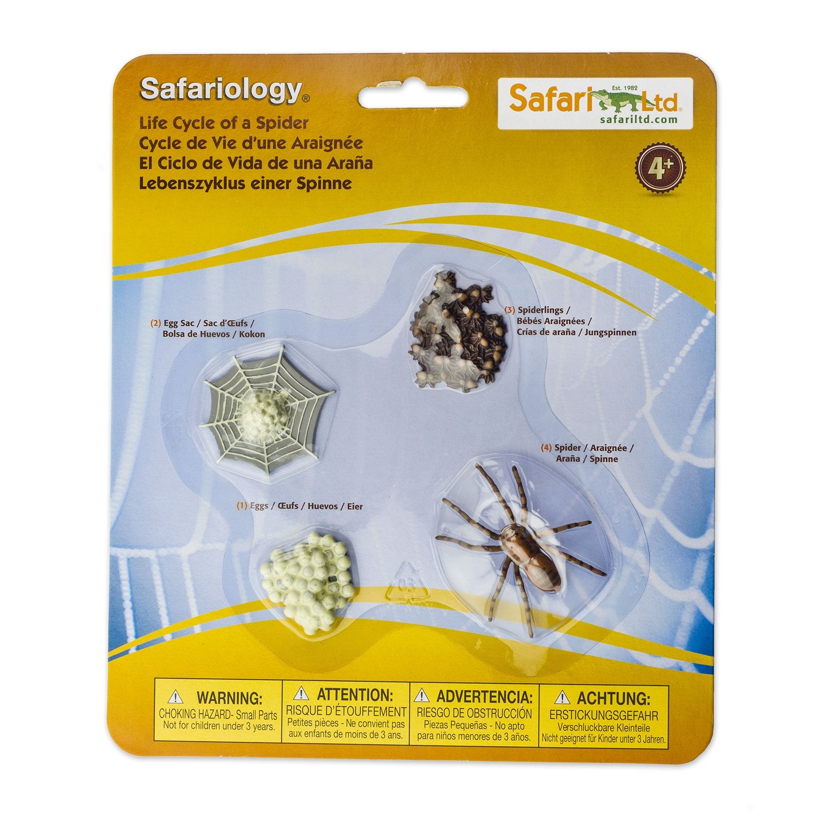 Safari Ltd Life Cycle of a Spider