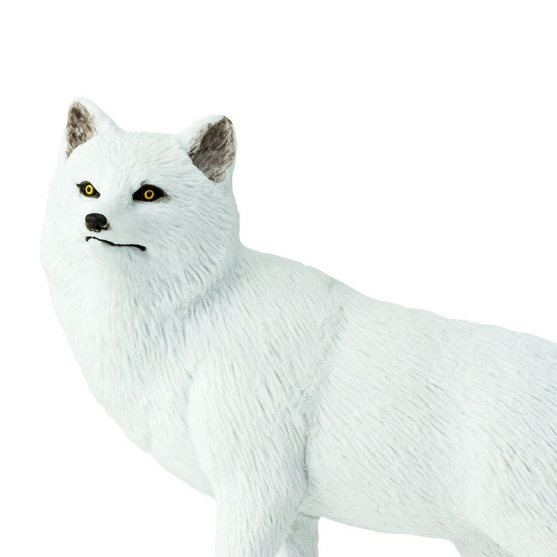 Safari Ltd Arctic Fox