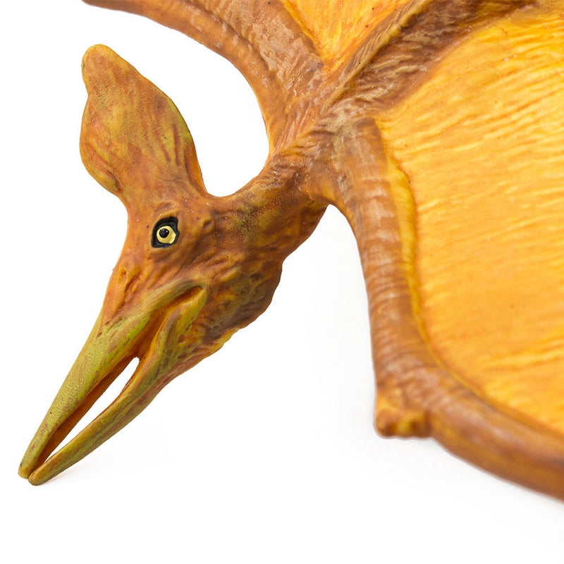 Safari Ltd Pteranodon