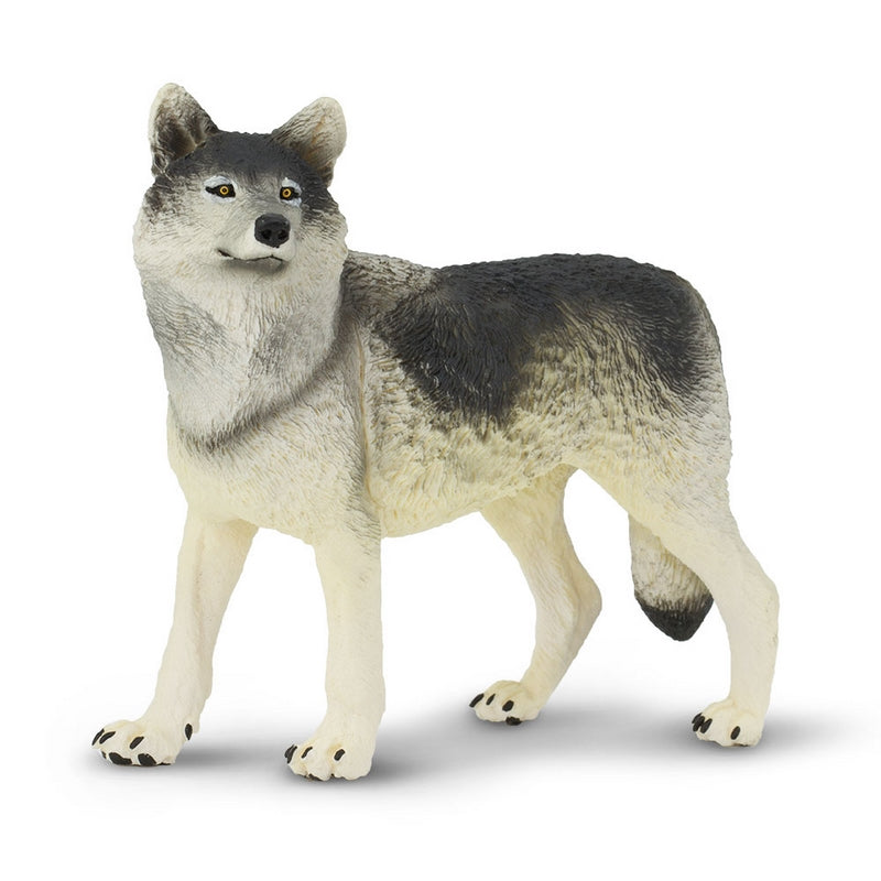 Safari Ltd Gray Wolf