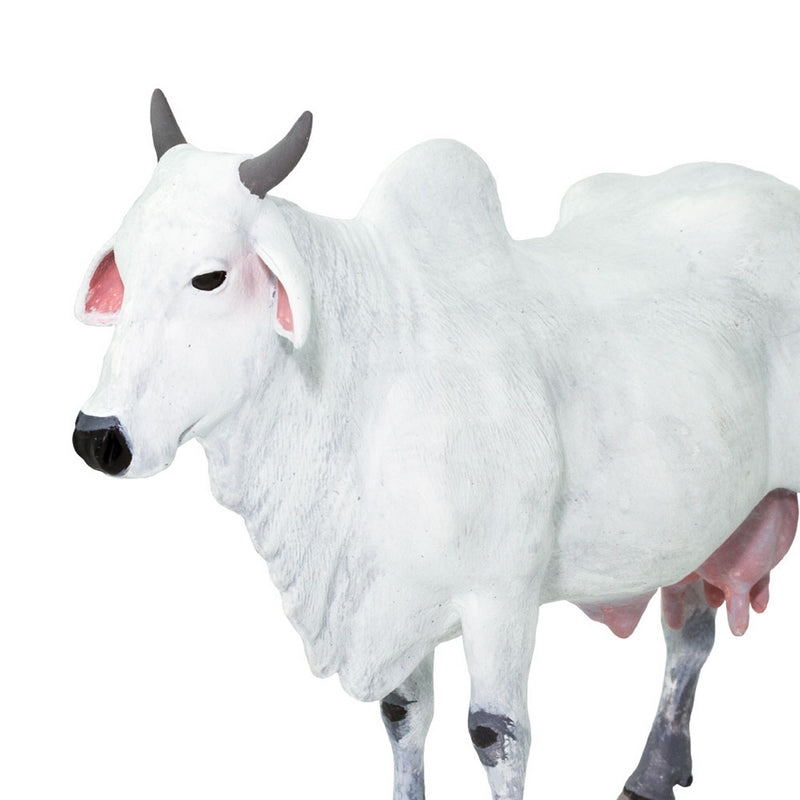 Safari Ltd Ongole Cow