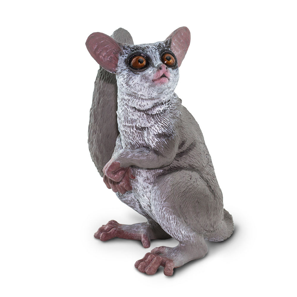 Safari Ltd Bush Baby