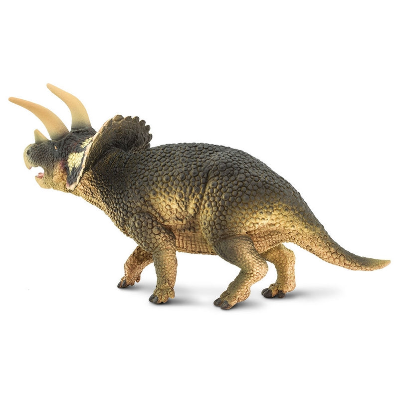 Safari Ltd Triceratops